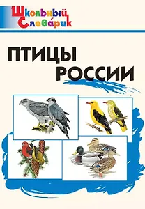 Птицы России. Начальная школа
