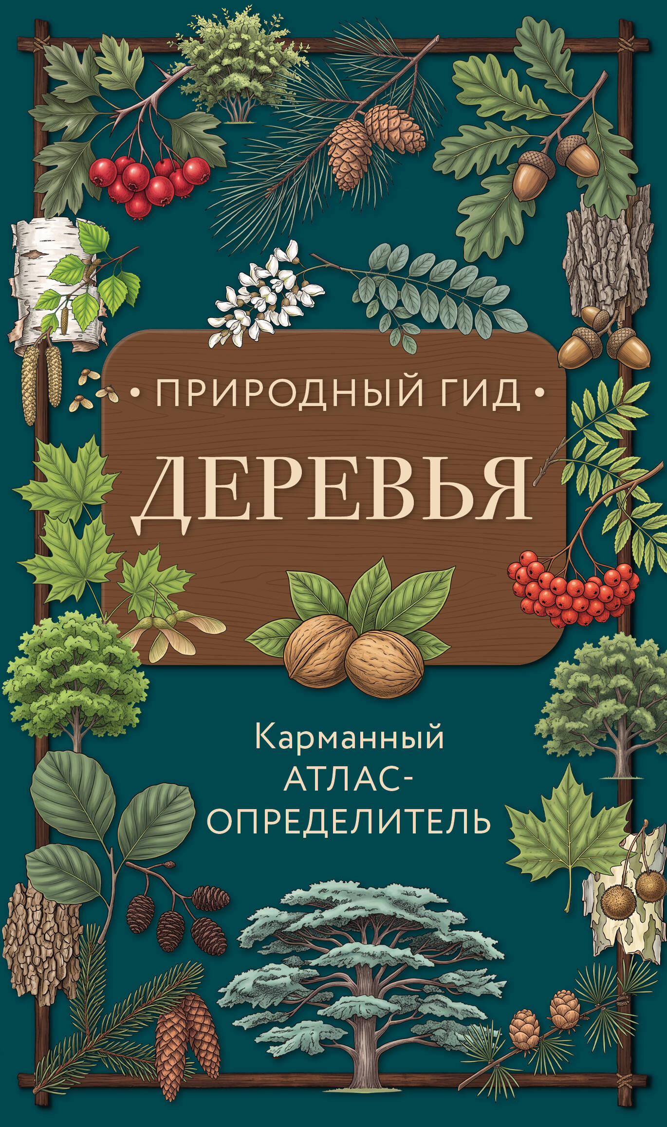 Деревья. Карманный атлас-определитель