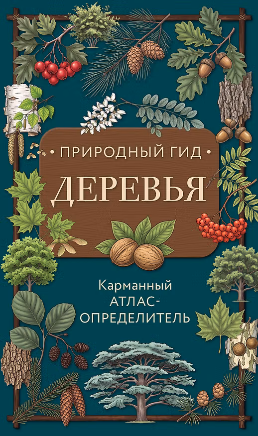 Книга Деревья. Карманный атлас-определитель () — 1