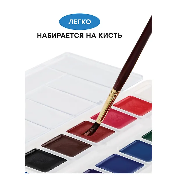 Акварельные краски Гамма, "Классические", 12 цветов 251989 — 4
