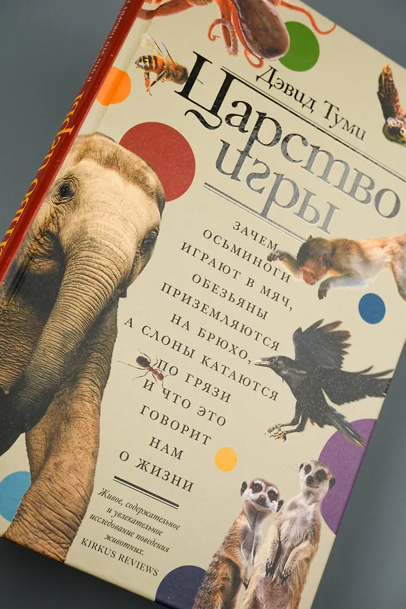Книга Царство игры (Дэвид Туми) — 8
