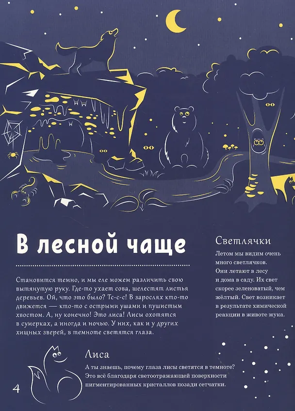 Книга Светится в темноте. Природа ночью (Петра Бартикова) — 2