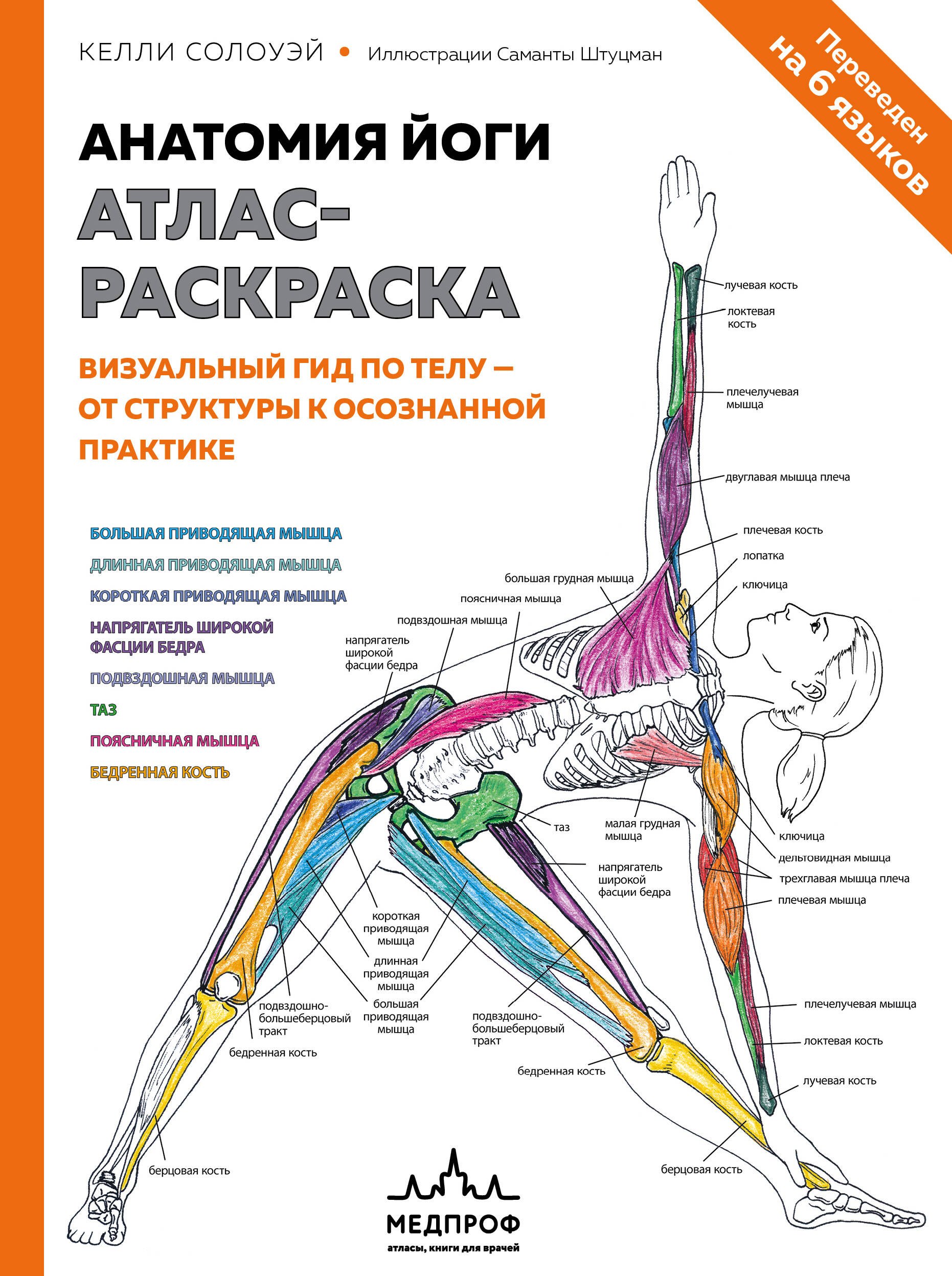 

Анатомия йоги: атлас-раскраска. Визуальный гид по телу — от структуры к осознанной практике