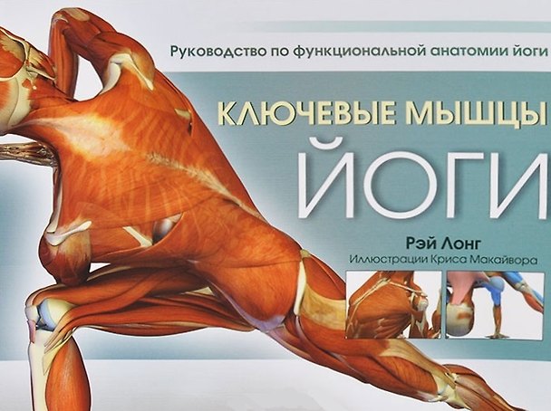 Книга Ключевые мышцы йоги (Рэй Лонг) — 1