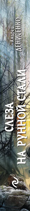 Книга Слеза на рунной стали: фантастический роман (Андрей Денисенко) — 3