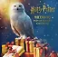 Harry Potter: Hedwig Pop-up Advent Calendar (Reinhart  Matthew) Гарри Поттер  Хедвиг Pop-up адвент календарь/ Книги на английском языке — 3027528 — 1