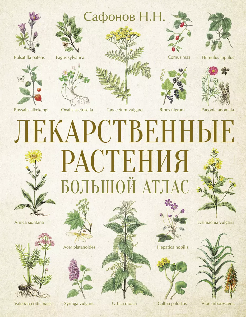 Лекарственные растения. Большой атлас (Николай Сафонов) - купить книгу с  доставкой в интернет-магазине «Читай-город». ISBN: 978-5-17-157884-8