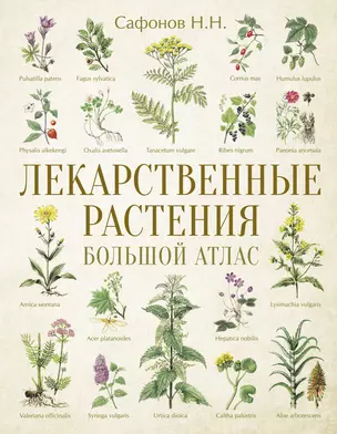 Лекарственные растения. Большой атлас — 2993151 — 1