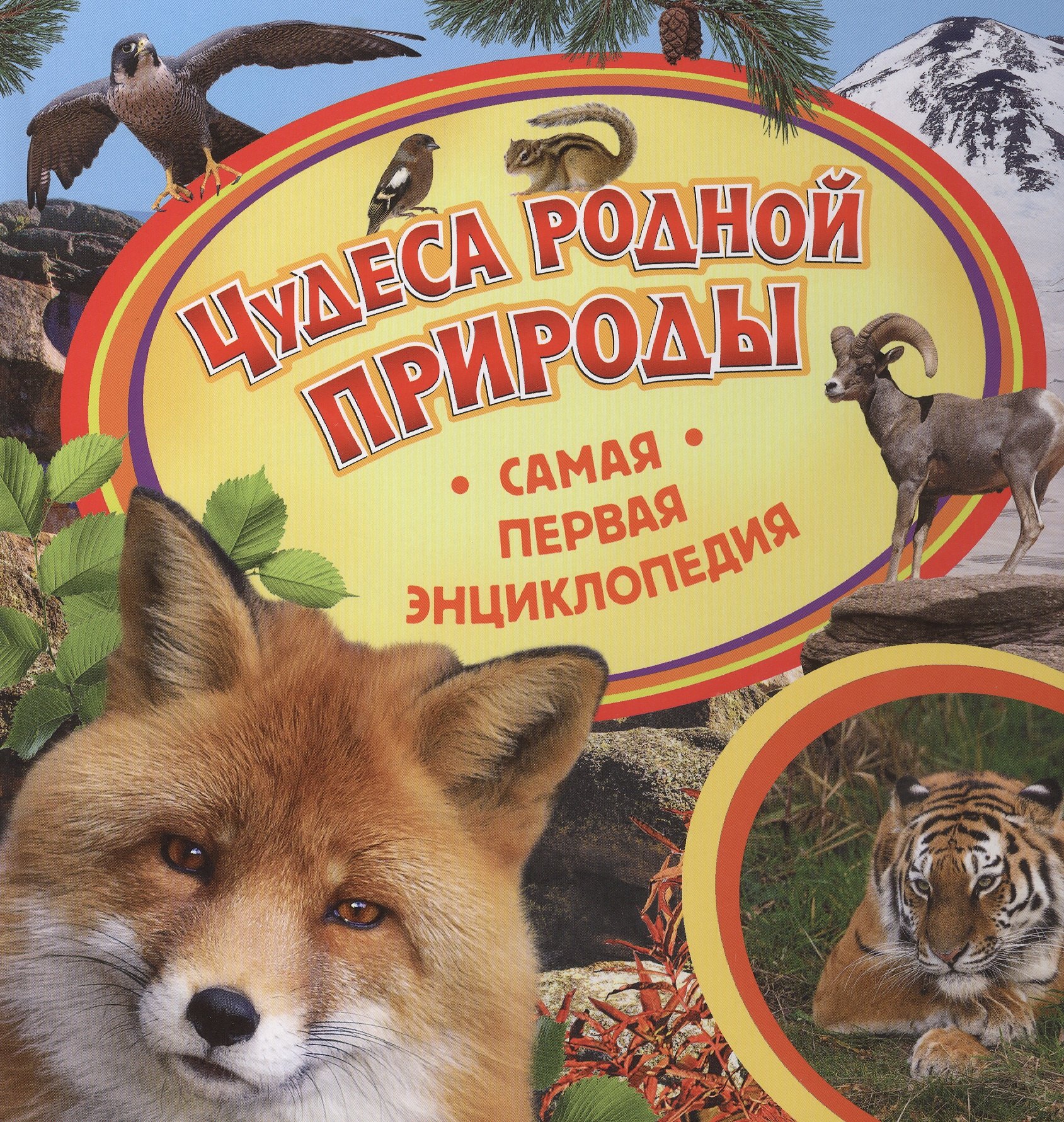 

Чудеса родной природы