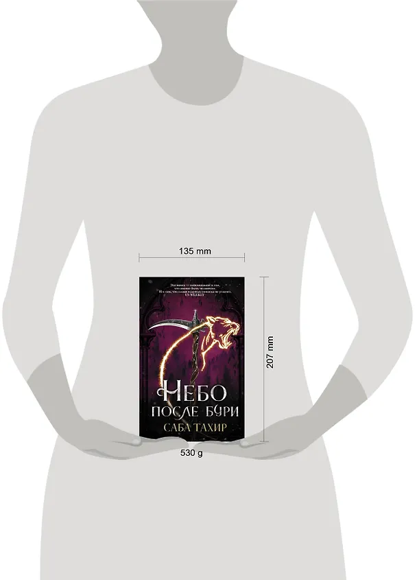 Книга Небо после бури (Саба Тахир) — 4