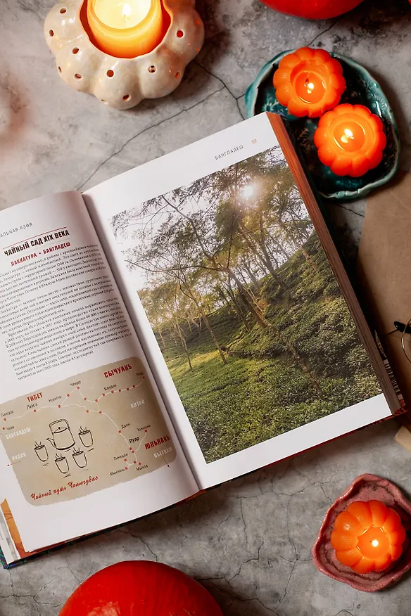 Книга Gastro Obscura. Кулинарные чудеса со всего мира (Дилан Тюрас, Сесили Вонг) — 11