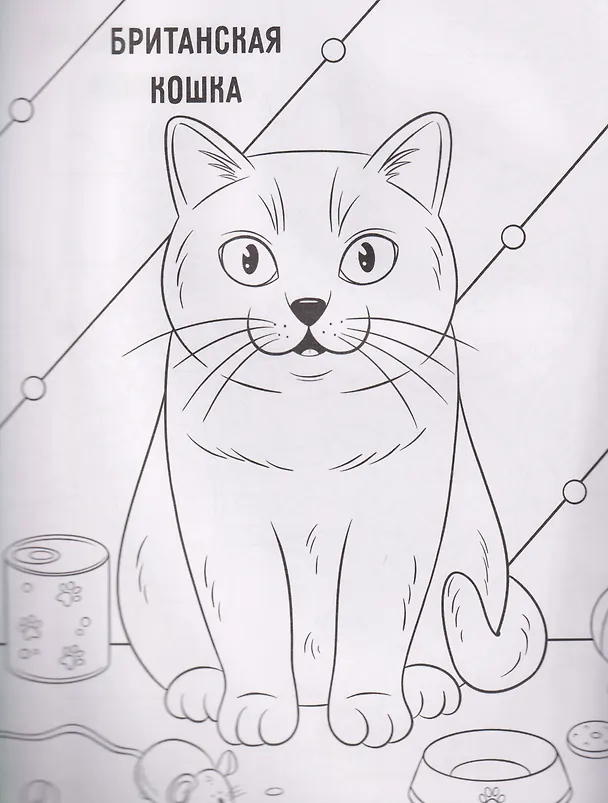 Книга Котики: книжка-раскраска () — 2
