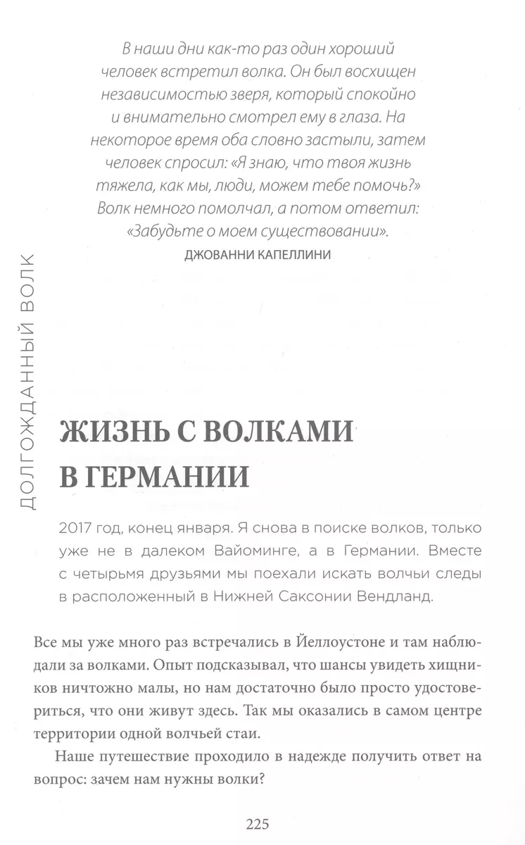 Сила волчьей стаи. Реальные истории из жизни диких хищников (Элли Х.  Рэдингер) - купить книгу с доставкой в интернет-магазине «Читай-город».  ISBN: 978-5-04-121443-2