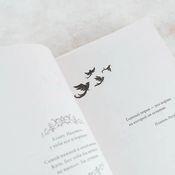 Книга Небесный берег (Лизз Демаро) — 9