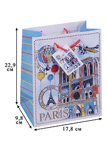 Пакет подарочный бумажный А5 "Нотр-Дам"