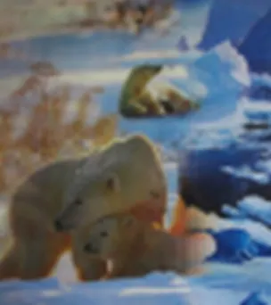 3D постер Медведь белый/Медведь мульт. (3D PS 16) 2292788