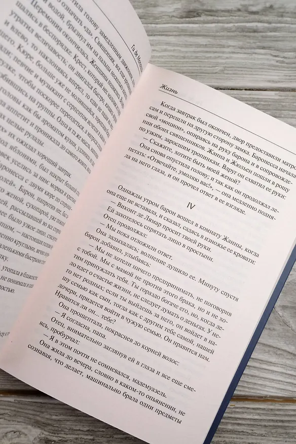 Книга Жизнь (Ги де Мопассан) — 10