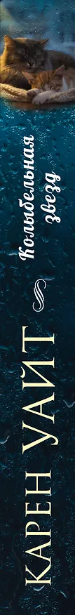 Книга Колыбельная звезд: роман (Карен Уайт) — 3