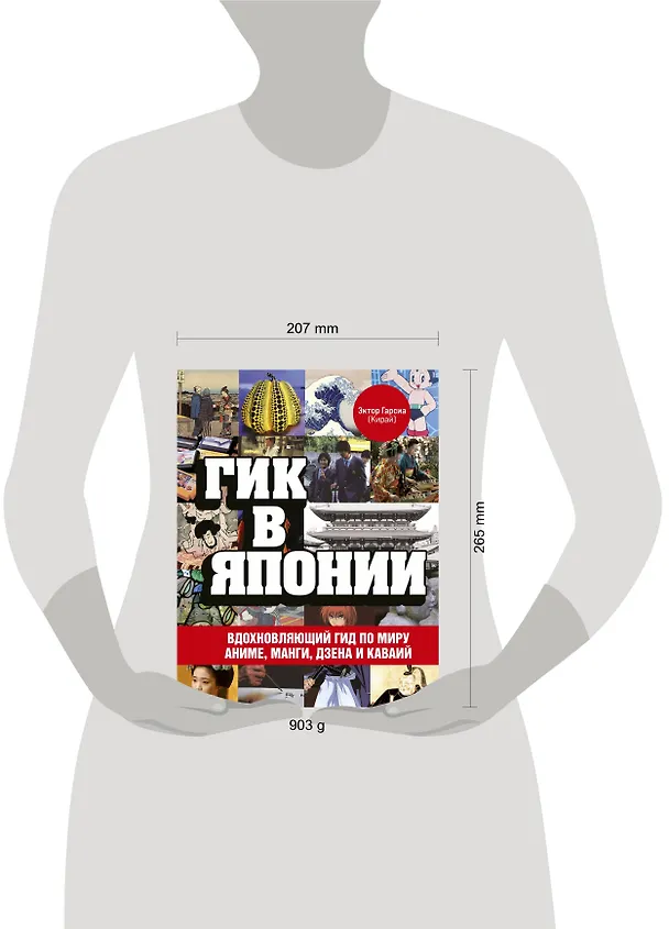 Книга Гик в Японии: вдохновляющий гид по миру аниме, манги, дзена и каваий (Эктор Гарсиа (Кирай)) — 5