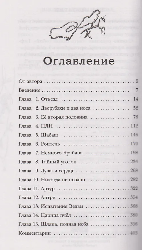 Книга Шляпа, полная неба (Терри Пратчетт) — 12
