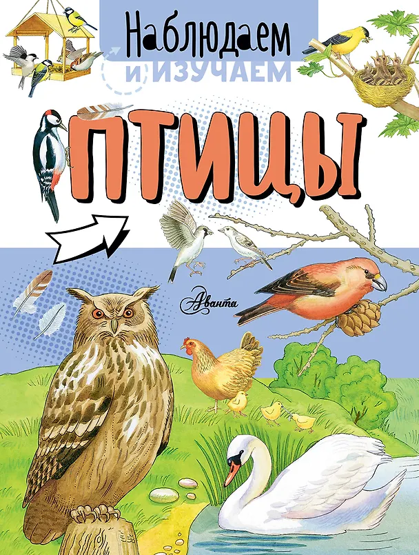 Книга Птицы (Алиса Ткачёва, Алиса Ткачева) — 1