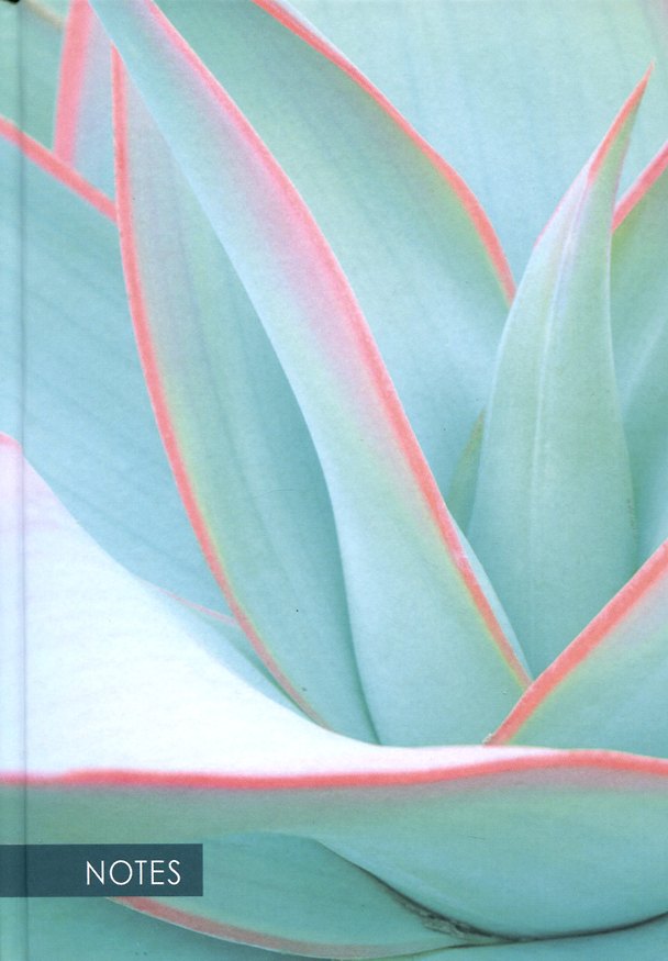 Книга для записей «Aloe», А5, 100 листов, Listoff 2947793 — 1