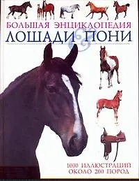 Книга Лошади & пони (Тэмсин Пикрел)