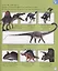 My Encyclopedia of Very Important Dinosaurs: For Little Dinosaur Lovers Who Want to Know Everything — 2891026 — 3