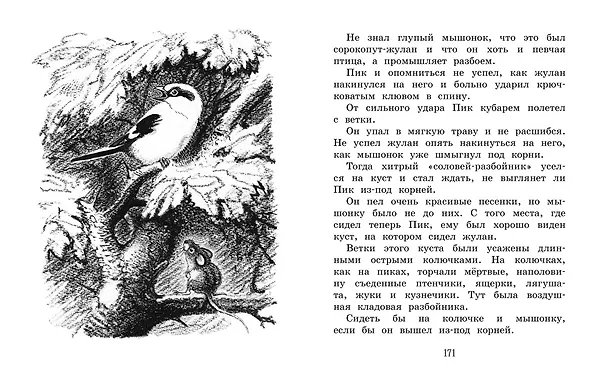 Книга Лесные сказки и рассказы (иллюстр. Е. Рачёва) (Виталий Бианки) — 6