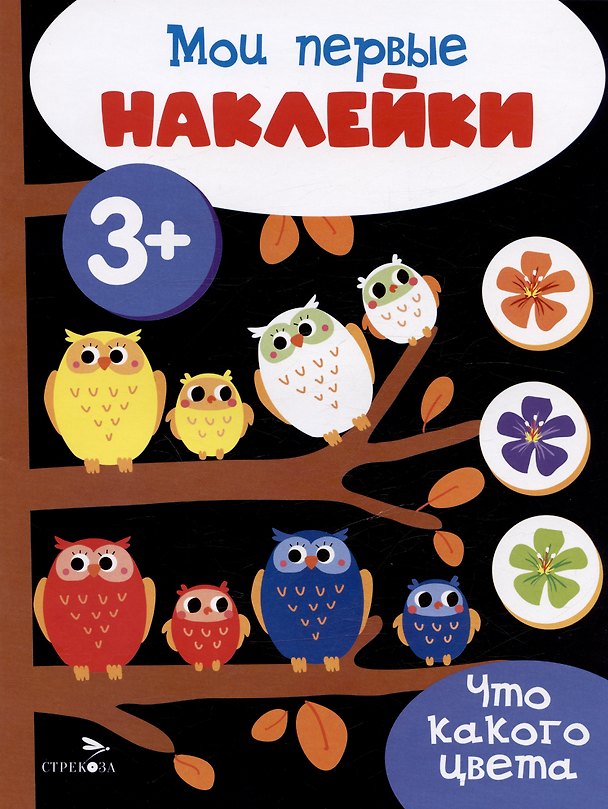 Книга Что какого цвета. Мои первые наклейки 3+ () — 1