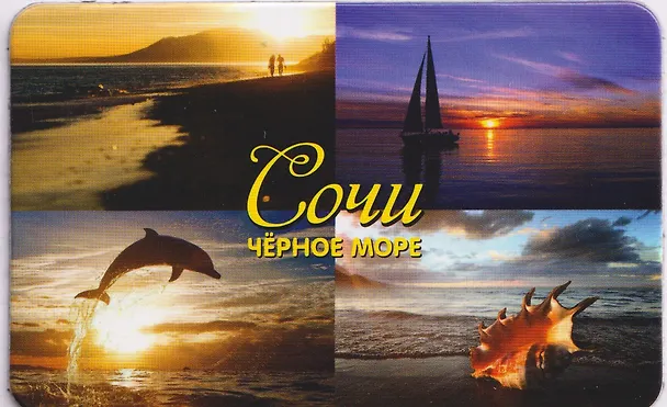 Магнит большой Коллаж4 №3 (винил) (Сочи) (030-1-135-K4-3) 3133798 — 1