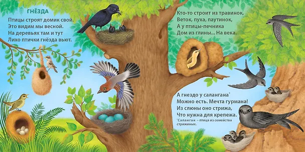 Книга Удивительные дома животных. Книжки-картонки (Евгений Сосновский) — 8