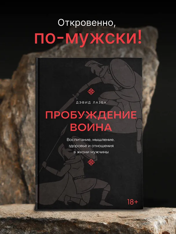 Книга Пробуждение воина. Воспитание, мышление, здоровье и отношения в жизни мужчины (Дэвид Лазба) — 5