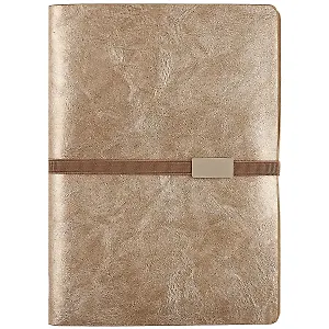 Ежедневник-органайзер «Жатка», золотой, 160 листов, А5