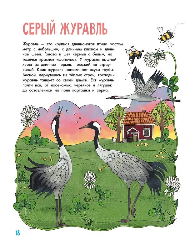 Книга Птицы (Эмма Янссон) — 7