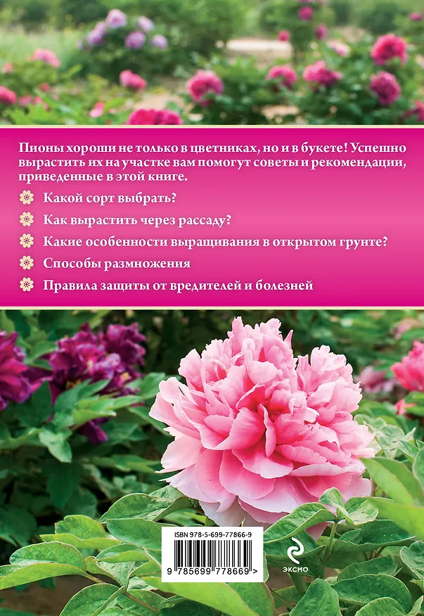 Книга Пионы для цветника и букета (Анна Белякова) — 2