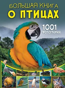 Большая книга о птицах. 1001 фотография