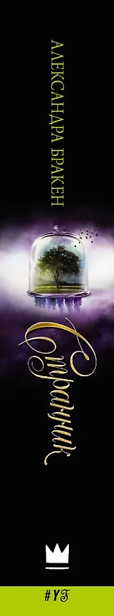 Книга Странник : роман (Александра Бракен) — 3