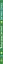 Тайная жизнь растений — 2821554 — 3