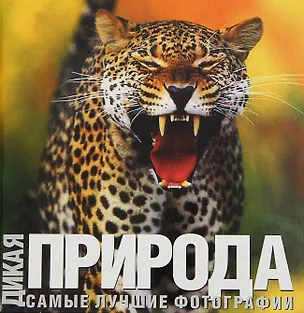 Книга Альбом. "Дикая природа": Самые лучшие фотографии (В Манферто де Фабианис)