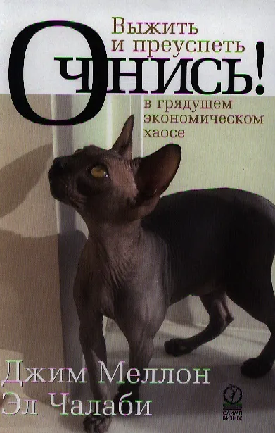 Книга Очнись! Выжить и преуспеть в грядущем экономическом хаосе () — 1