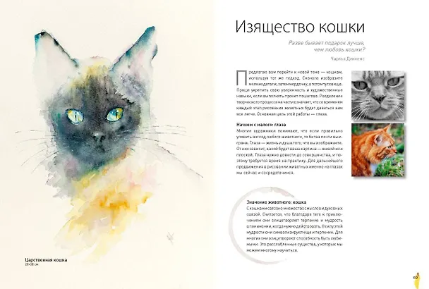 Книга Животные акварелью от Джин Хэйнс. Медитативное рисование для контакта с собой и природой (Джин Хэйнс) — 12