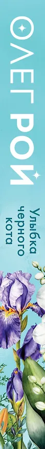 Книга Улыбка черного кота (формат клатчбук) (Олег Рой) — 3