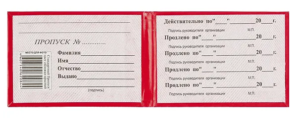 Бланк «Пропуск» 214213 — 2