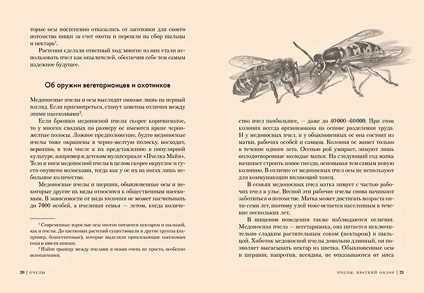 Книга Пчелы. Что человек и пчела значат друг для друга (Фридрих Хайнбух) — 4