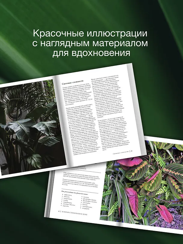 Книга Растущие в темноте. Комнатные растения для укромных уголков вашего дома (Екатерина Кузнецова) — 9