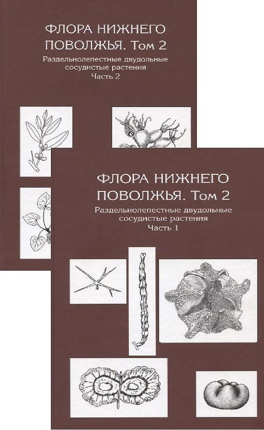Книга Флора Нижнего Поволжья. Том 2. В друх частях (комплект из 2 книг) () — 1