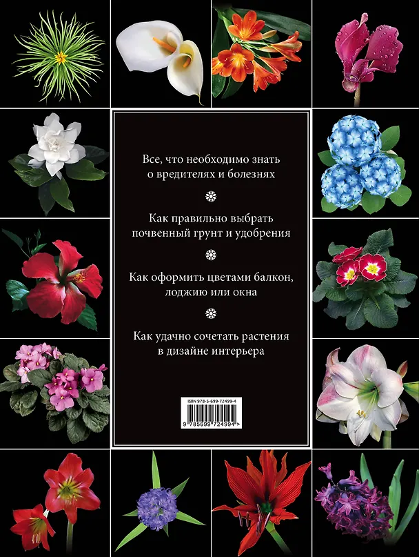 Книга Библия комнатных растений. (Обновленное и дополненное издание) (Ирина Березкина) — 2
