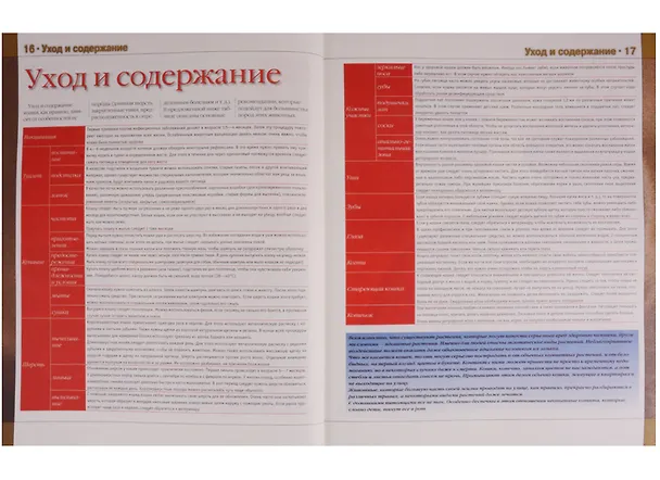 Книга Кошки Новая иллюстрированная энциклопедия (илл. Волынца) Волкова (В. Волкова) — 4