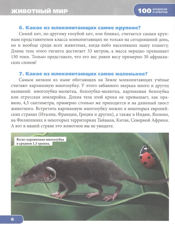 Книга Животный мир () — 4